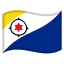 image for :flag: Caribbean Netherlands: