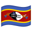 image for :flag: Eswatini:
