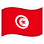 image for :flag: Tunisia: