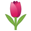 Gemoji image for :tulip: