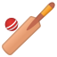 image for :cricket game: