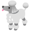 image for :poodle: