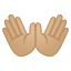 image for :open hands: medium-light skin tone: