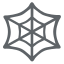image for :spider web: