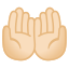 image for :palms up together: light skin tone: