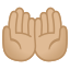 image for :palms up together: medium-light skin tone: