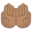 image for :palms up together: medium skin tone: