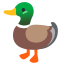 image for :duck:
