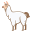 image for :llama: