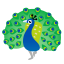 image for :peacock:
