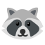 image for :raccoon: