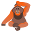 image for :orangutan: