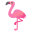 image for :flamingo: