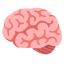 image for :brain: