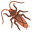 image for :cockroach: