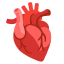 image for :anatomical heart: