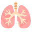 image for :lungs: