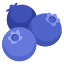 image for :blueberries: