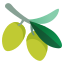image for :olive:
